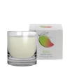 Loma Organics Candle - Soothing Mango -Body Care Store Candle Soothing Mango 14343 detail