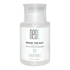 NeoGenesis Erase The Day